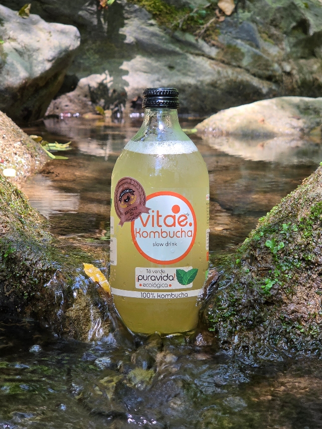 Vitae Kombucha